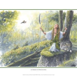 La chamane et le monde d’en haut