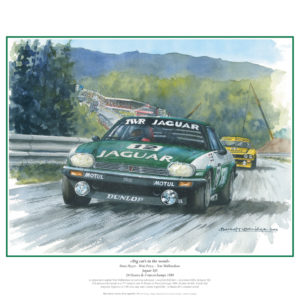 Big cat's in the wood