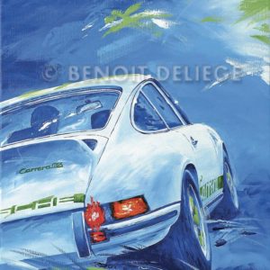 Carrera in blue motion