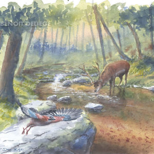 La rivière rouge