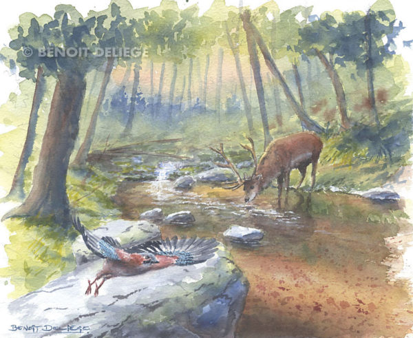 La rivière rouge