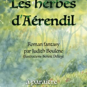 Les herbes d'Aérendil