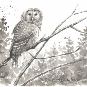 Qui trouble ma quiétude ?